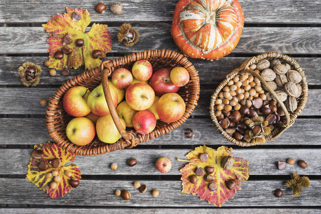 Осінній урожай на садовому столі: яблука, горіхи і каштани в кошиках і їстівні гарбузи — стокове фото