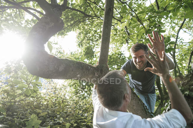 Padre dando choca cinco a hijo en el árbol durante el día soleado - foto de stock
