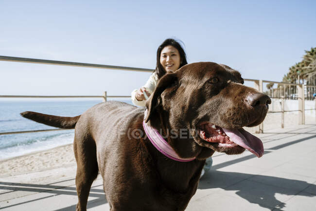 Donna con cane Labrador da ringhiera in spiaggia nella giornata di sole — Foto stock