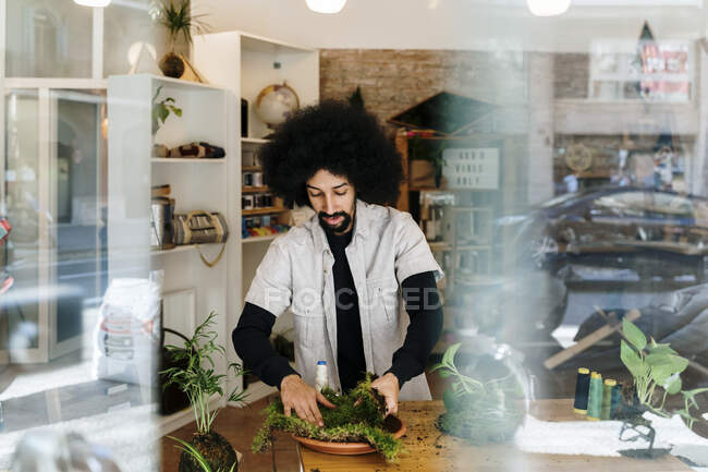 Afro man holding moss while making kokedama plant seen from window — Stock Photo