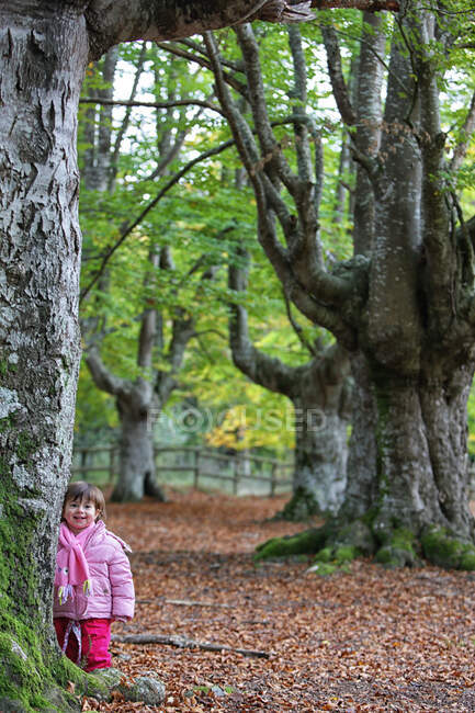 Мила дівчинка, яка посміхається, стоячи на дереві в природному парку Горбеа. — стокове фото