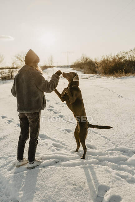 Підліток грає з собакою в снігу на світанку взимку. — стокове фото