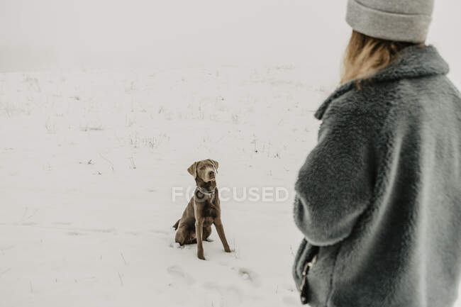 Teenager sieht Labrador Retriever im Schnee sitzen — Stockfoto