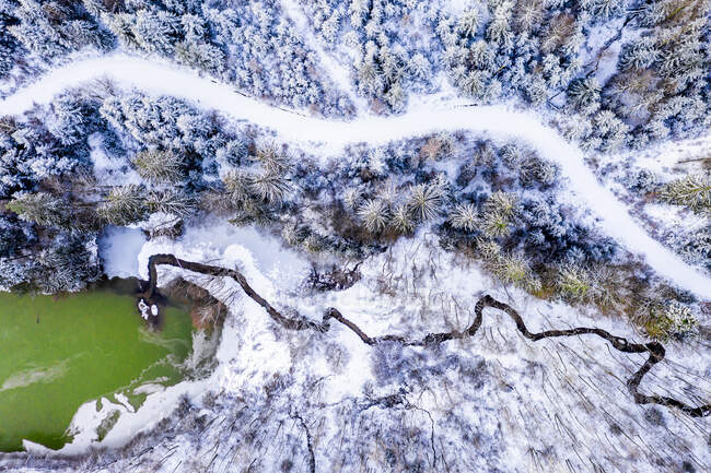 Allemagne, Baden Wurttemberg, Vue aérienne de la rivière tombant dans le lac dans la forêt souabe en hiver — Photo de stock
