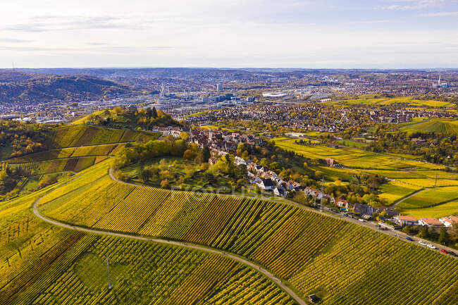 Alemania, Baden Wurttemberg, Stuttgart, Vista aérea de los viñedos en las afueras de la ciudad en otoño - foto de stock
