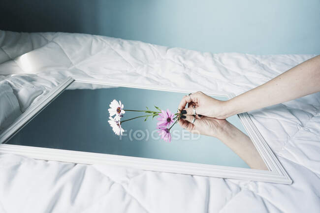 Hand einer jungen Frau lässt Gänseblümchen auf Spiegel auf weißer Bettdecke liegen — Stockfoto