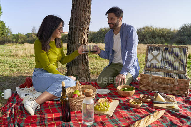 Smiling couple toasting cups during picnic on weekend — Stock Photo