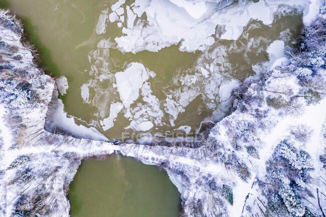 Alemania, Baden Wurttemberg, Vista aérea del lago congelado en el bosque de Suabia en invierno - foto de stock