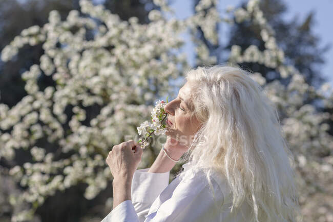 Доросла жінка з довгим білим волоссям пахне квітами в сонячний день. — стокове фото