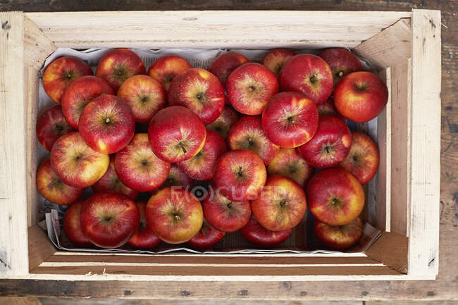 Caisse de pommes mûres rouges — Photo de stock
