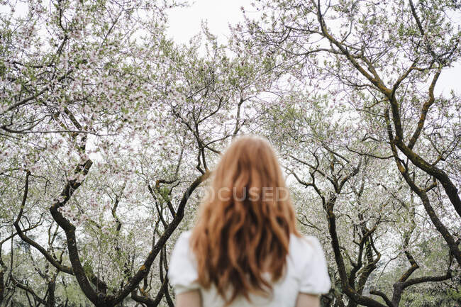 Руденька жінка перед мигдалевим деревом. — стокове фото