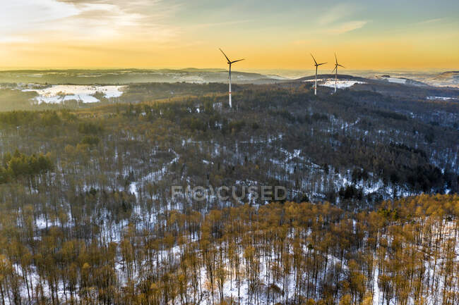 Alemania, Baden Wurttemberg, Vista aérea del bosque de Suabia en invierno - foto de stock