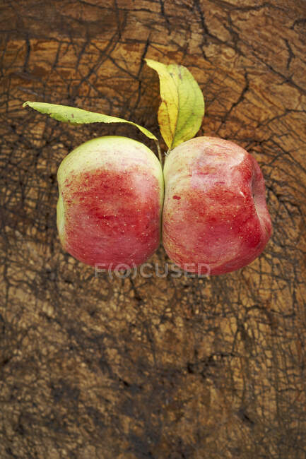 Deux pommes mûres couchées sur une surface en bois — Photo de stock