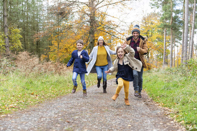 Счастливая семья играет, бегая вместе по лесной тропе — стоковое фото