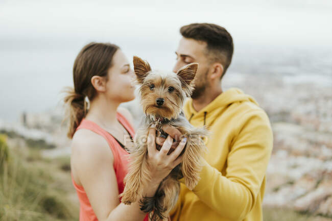 Giovane coppia in possesso di yorkshire terrier cane in mano mentre si guarda l'un l'altro — Foto stock