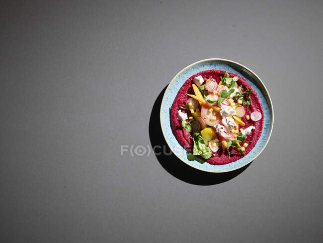 Plate of beetroot puree with pumpkin seeds, goat cheese, radishes and lettuce — Stock Photo