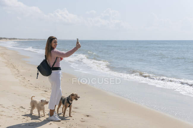 Femme avec des chiens parlant selfie par téléphone intelligent à la plage pendant la journée ensoleillée — Photo de stock