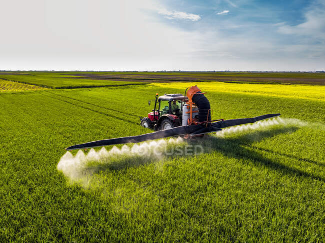 Пестицид трактора на пшеничном поле в солнечный день — стоковое фото