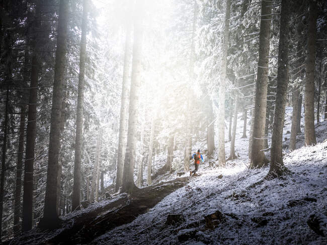 Atleta masculino corriendo en el bosque durante el invierno - foto de stock
