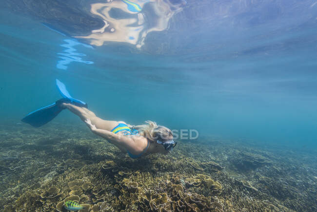 Підводний вид на дівчину, що пірнає в Яванському морі. — Stock Photo