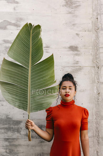 Молодая женщина в водолазке красное платье держа зеленый банановый лист перед стеной — стоковое фото