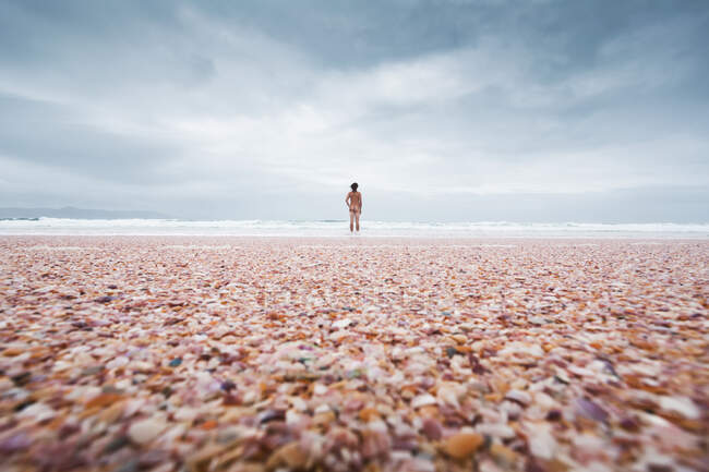 Nuova Zelanda, Isola del Nord, Vista posteriore dell'uomo in piedi sulla spiaggia e guardando il mare — Foto stock