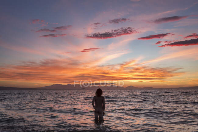 New Zealand North Island Rear View Of Naked Man Standing In Sea At Sunset Tourist Caucasian