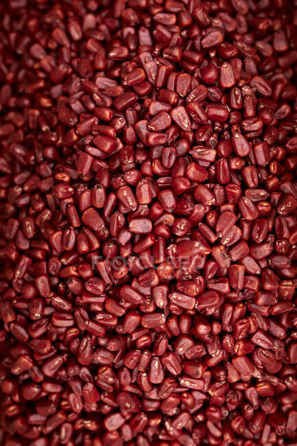 Fresh red corn kernels pile — Stock Photo