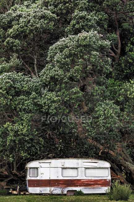 Remolque de caravana abandonada en el Parque Forestal de Coromandel - foto de stock