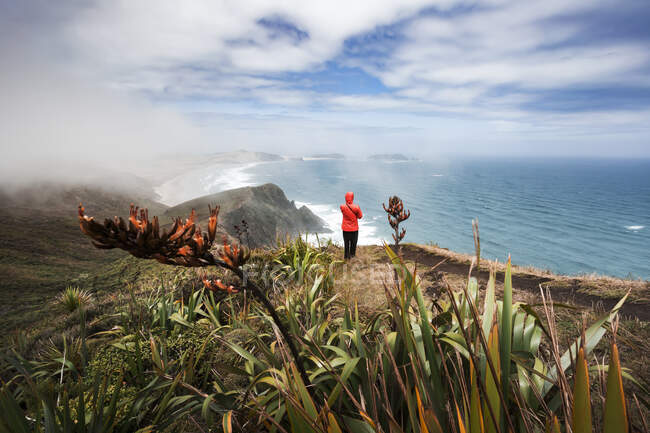 Uomo solitario ammirando vista dell'Oceano Pacifico dal bordo della scogliera costiera a Capo Reinga — Foto stock