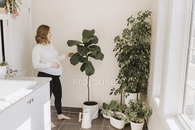 Усміхнена жінка дивиться на рослину з горщиками у вітальні — стокове фото
