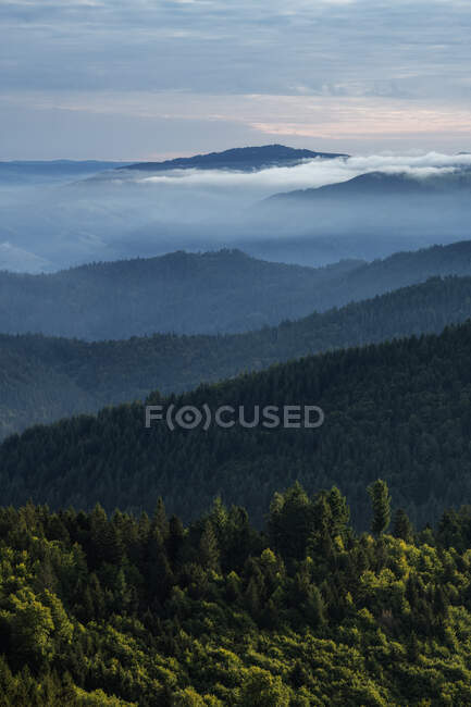 Вид з Хохблауена на навколишні гори на туманний світанок — стокове фото