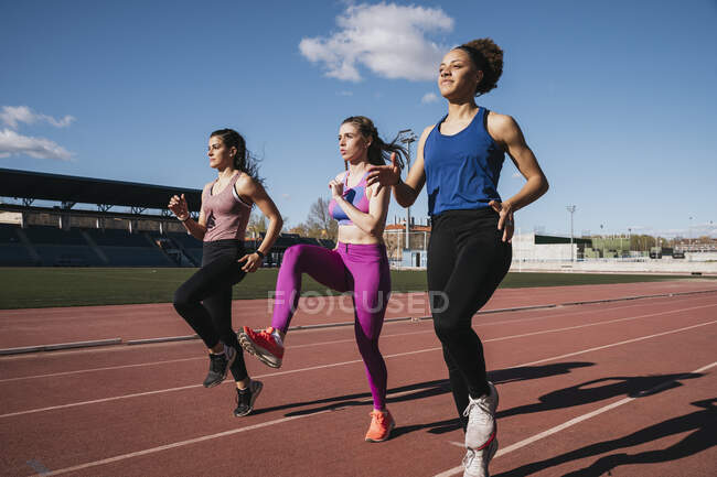 Young female sportswomen exercising on sports track — Stock Photo