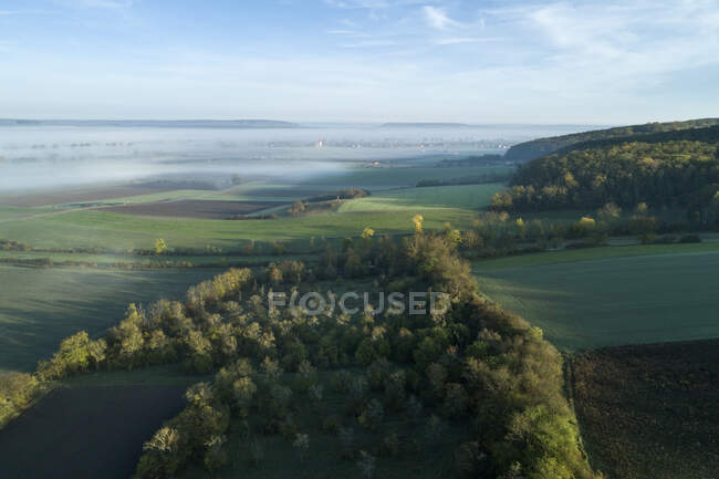Drone vista del campo envuelto en espesa niebla al amanecer - foto de stock
