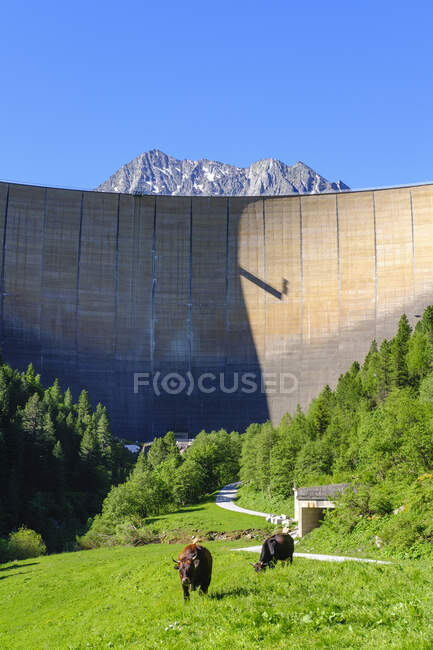 Parede de barragem no reservatório Schlegeis, Zillertal Alps, Ziller Valley, Tyrol, Áustria — Fotografia de Stock