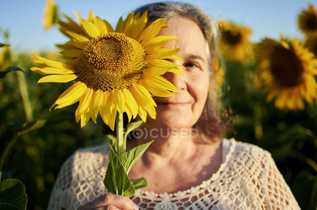 Donna anziana che copre l'occhio con girasole — Foto stock