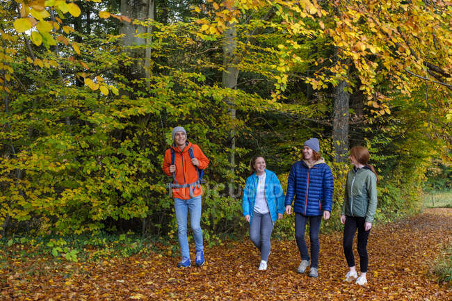 Счастливые молодые мужчины и женщины, гуляющие в лесу осенью — стоковое фото