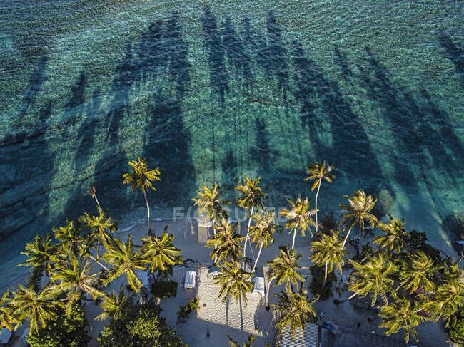 Palmeiras sombra na praia em Thulusdhoo Island, Kaafu atol, Maldivas — Fotografia de Stock