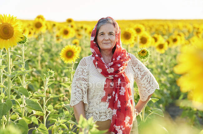 Старшая женщина в красном шарфе, стоящая с рукой на бедре на подсолнечном поле — стоковое фото