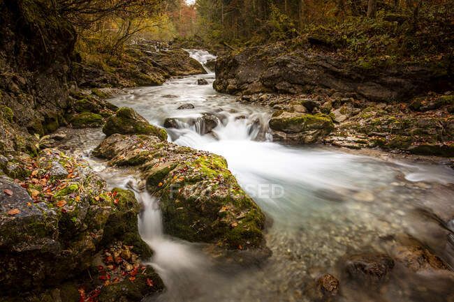 Lunga esposizione del fiume Oybach che scorre attraverso la foresta autunnale — Foto stock
