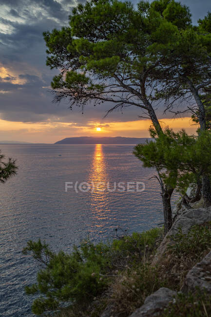 Bahía Makarska Riviera al atardecer con árbol en primer plano - foto de stock