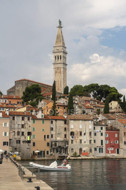 Croazia, Istria County, Rovigno, Porto della città costiera in estate con alto campanile della Chiesa di Sant'Eufemia sullo sfondo — Foto stock