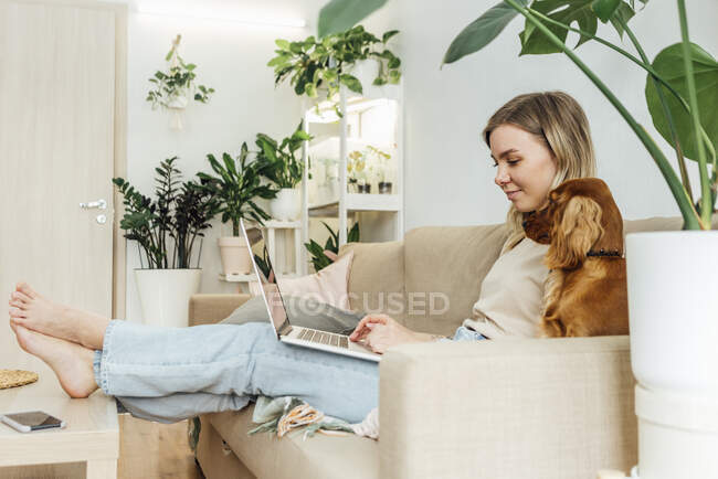 Female freelancer working on laptop by Cocker Spaniel at home — Stock Photo