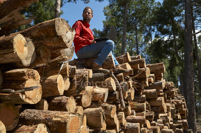 Homem adulto médio com laptop olhando para longe enquanto sentado em troncos de árvores na indústria madeireira — Fotografia de Stock