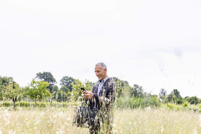 Homme professionnel utilisant le téléphone intelligent dans le domaine herbeux — Photo de stock