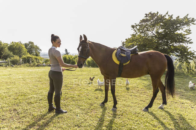 Donna che attacca redine con imbracatura a cavallo a prato — Foto stock