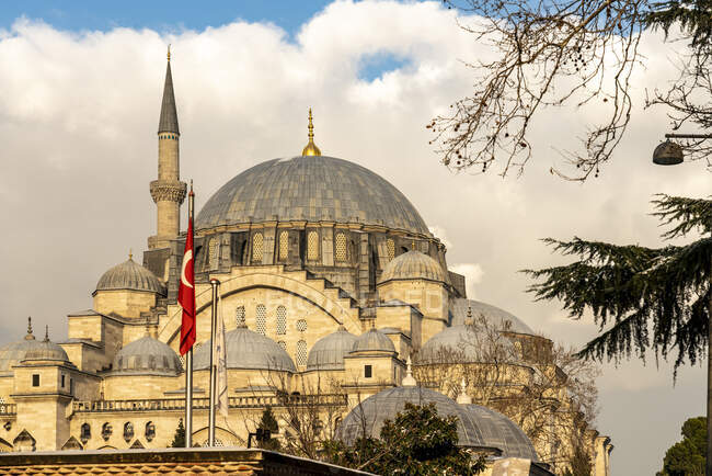 Turchia, Istanbul, Esterno della Moschea Suleymaniye — Foto stock