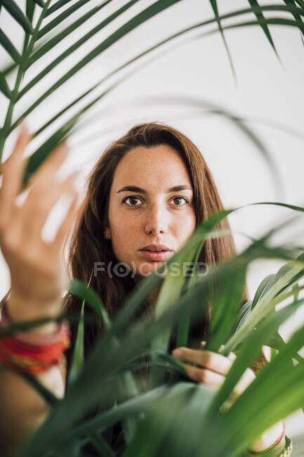 Mujer mirando a través de la hoja en casa - foto de stock