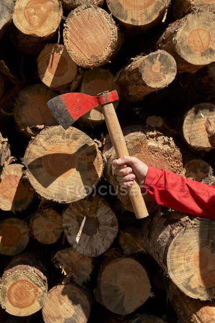 Lumber jack holding axe in front of logs at lumber industry — Stock Photo