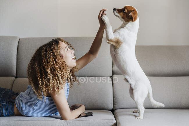 Цікава жінка, що бавиться з собакою на дивані вдома. — стокове фото